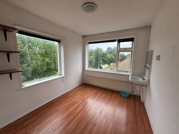 geblurde versie van de foto als achtergrond