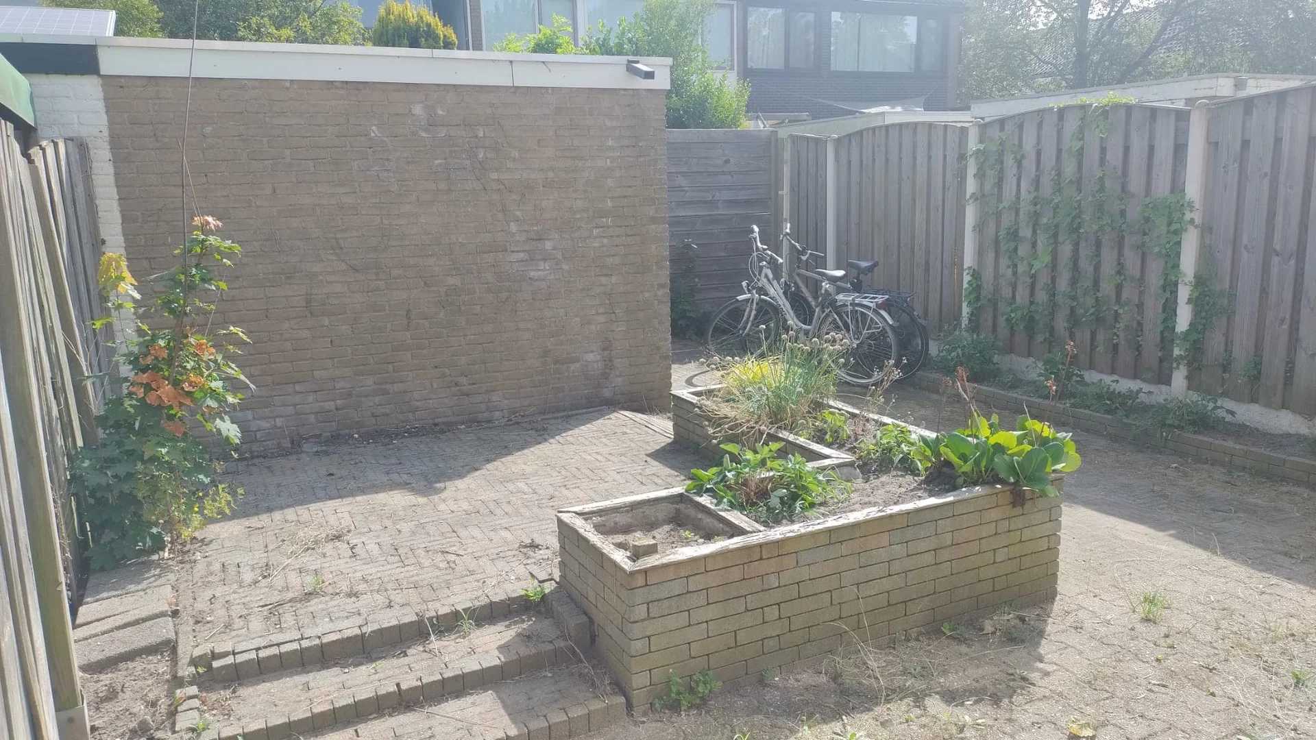 geblurde versie van de foto als achtergrond
