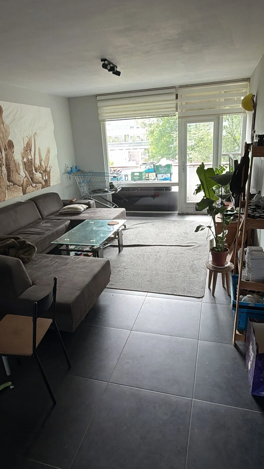 geblurde versie van de foto als achtergrond
