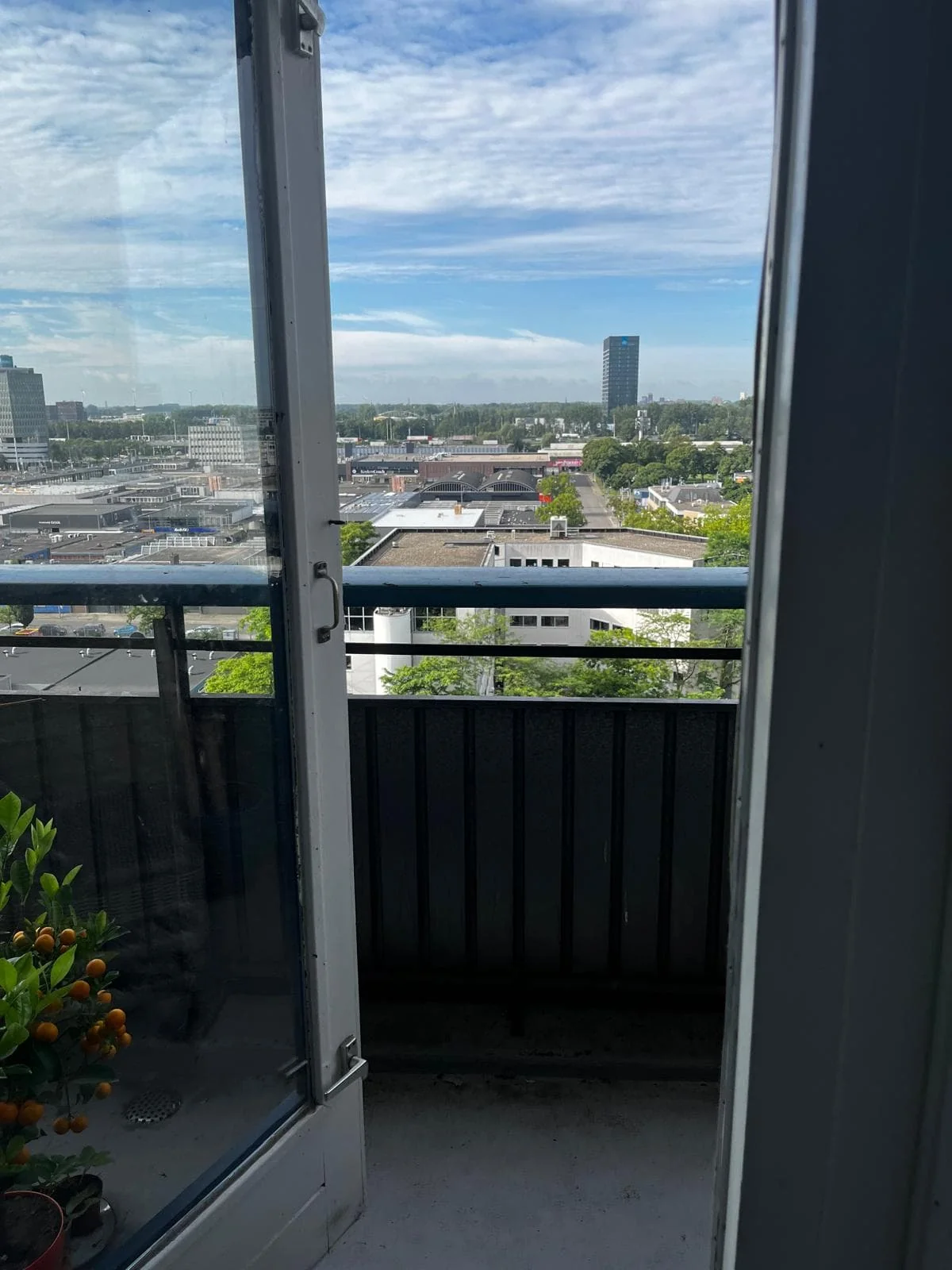 geblurde versie van de foto als achtergrond