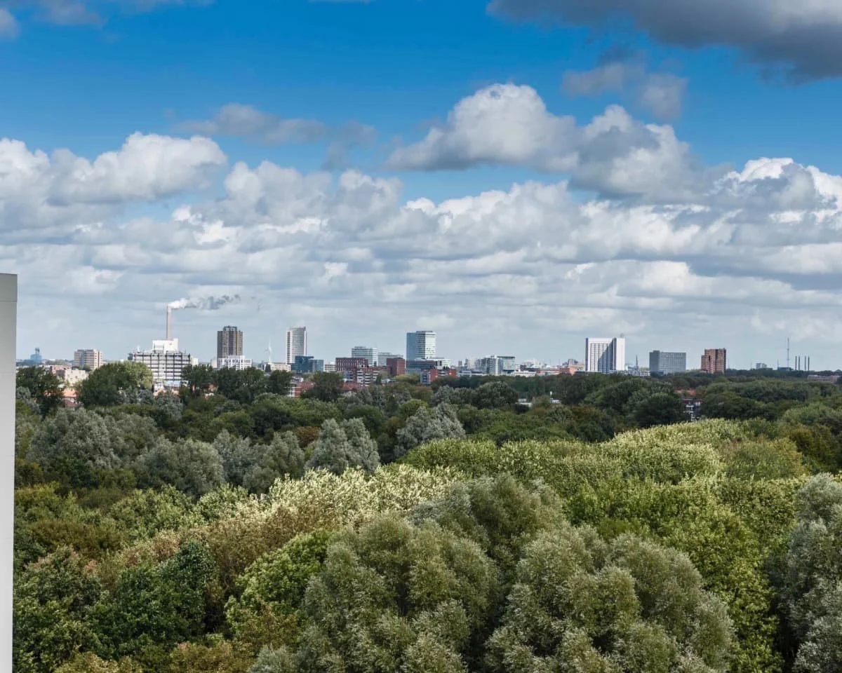 geblurde versie van de foto als achtergrond