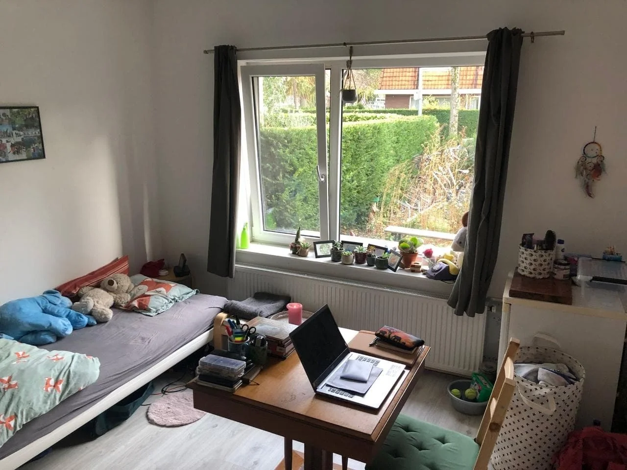geblurde versie van de foto als achtergrond