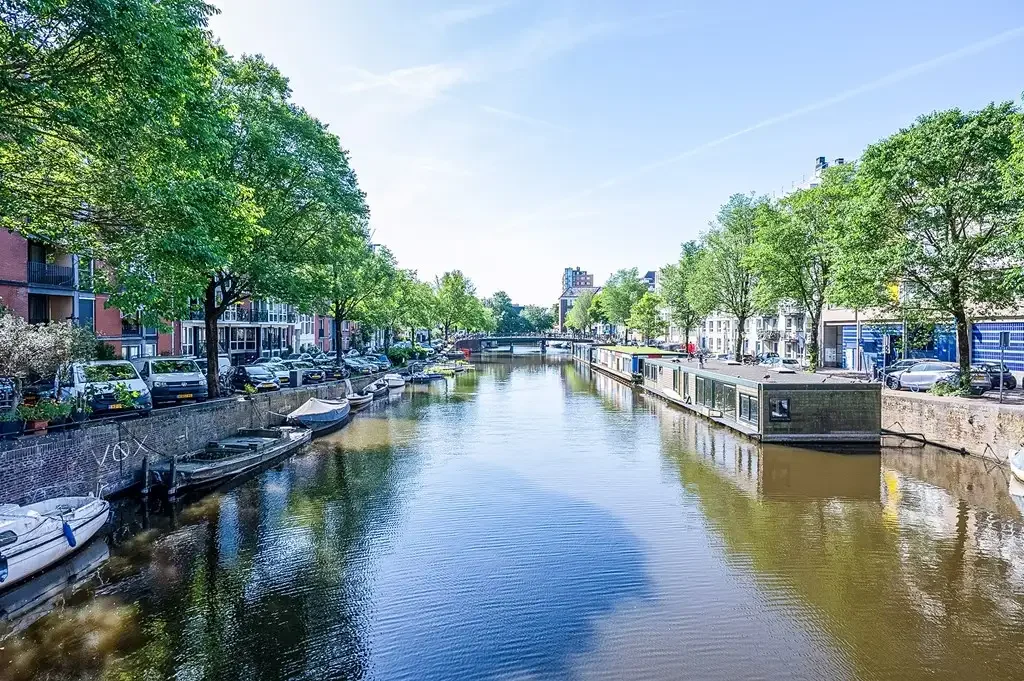geblurde versie van de foto als achtergrond