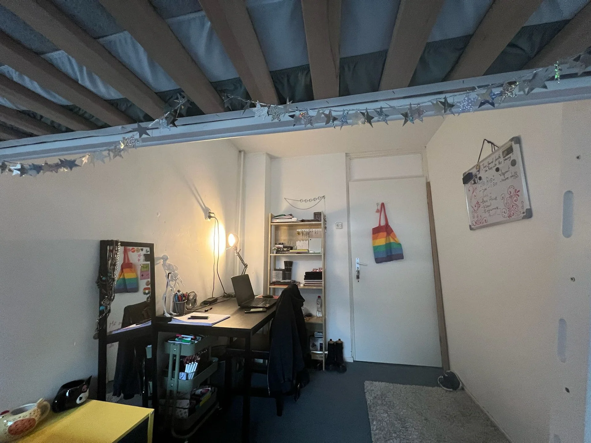 Foto van de Kamer gelegen aan de Briljantstraat in Groningen