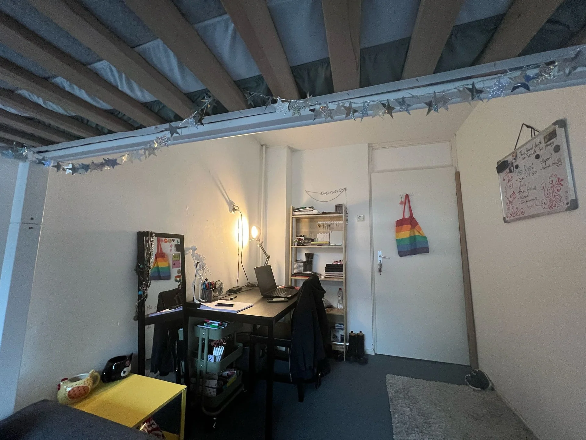 Foto van de Kamer gelegen aan de Briljantstraat in Groningen
