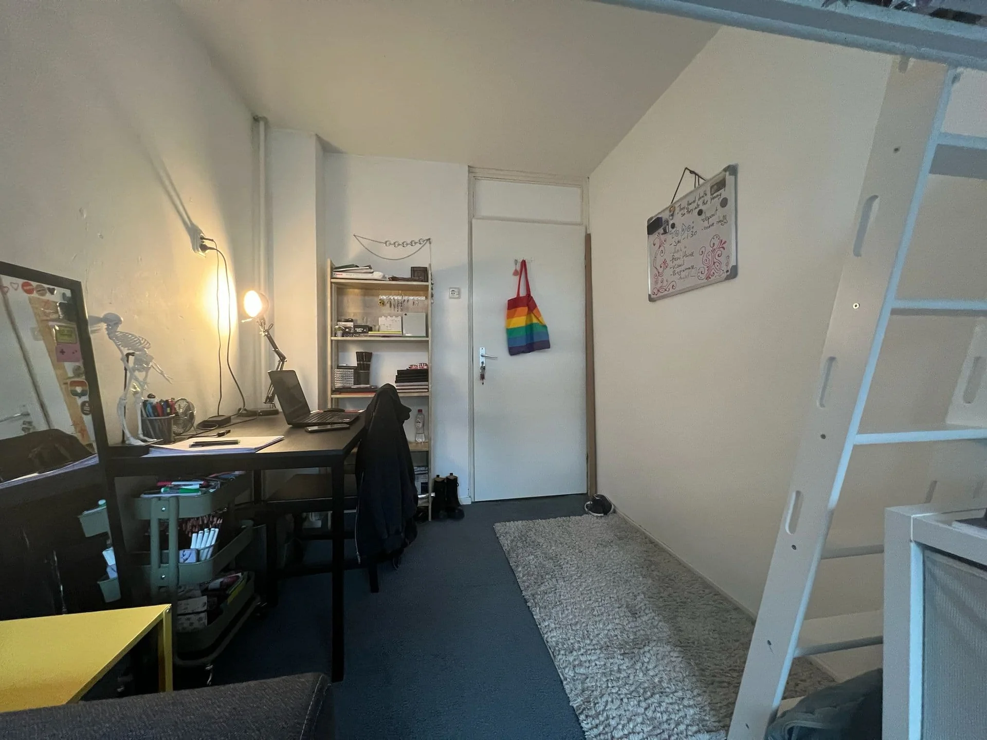 Foto van de Kamer gelegen aan de Briljantstraat in Groningen