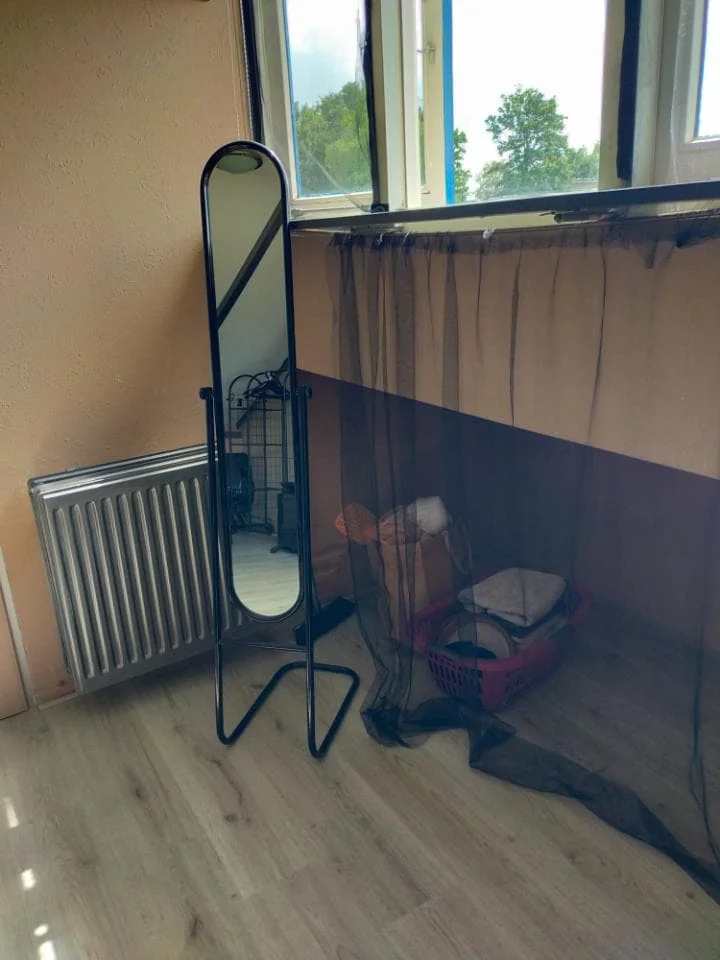 geblurde versie van de foto als achtergrond