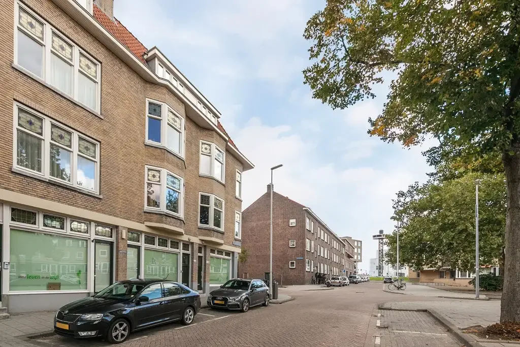 geblurde versie van de foto als achtergrond