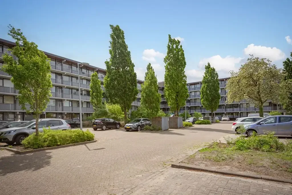 geblurde versie van de foto als achtergrond
