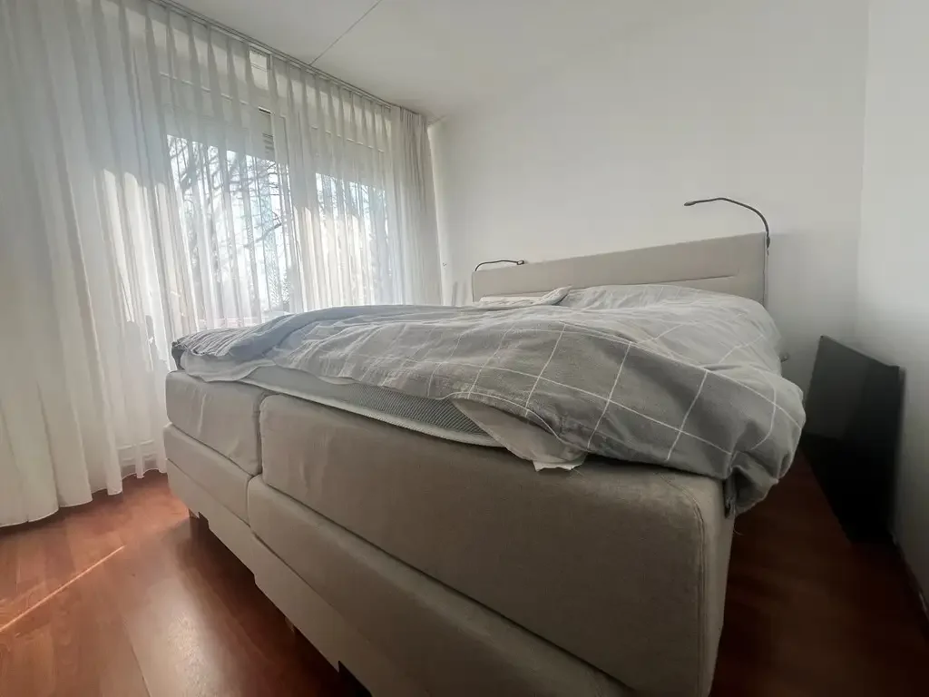geblurde versie van de foto als achtergrond