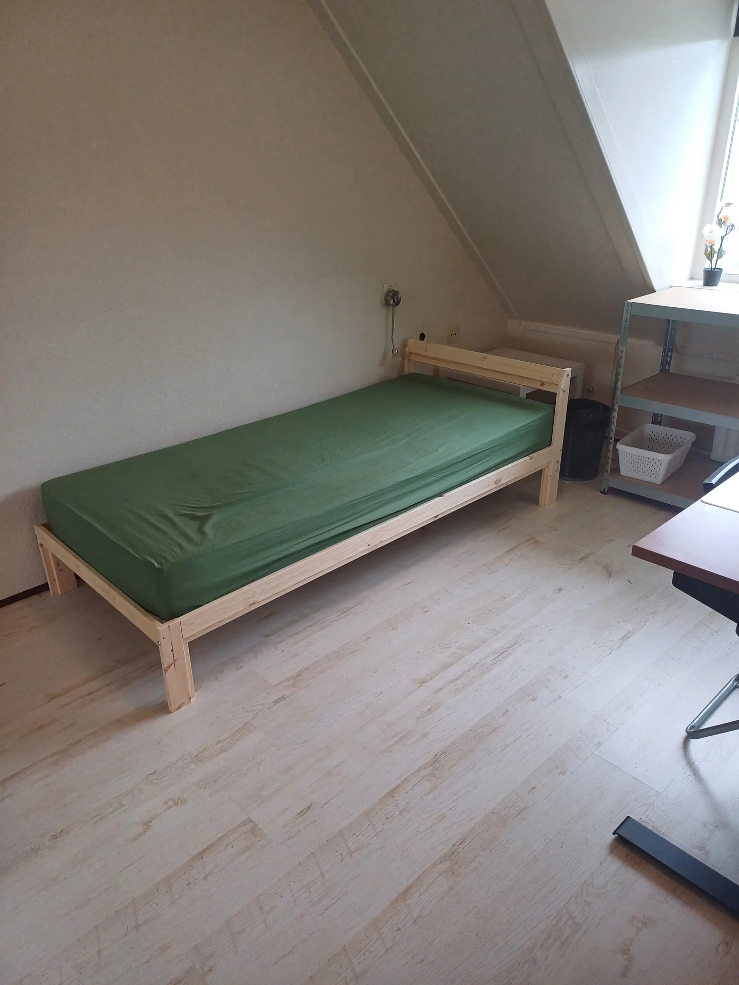 Foto van de Kamer gelegen aan de Judith Leijsterstraat in Lisse