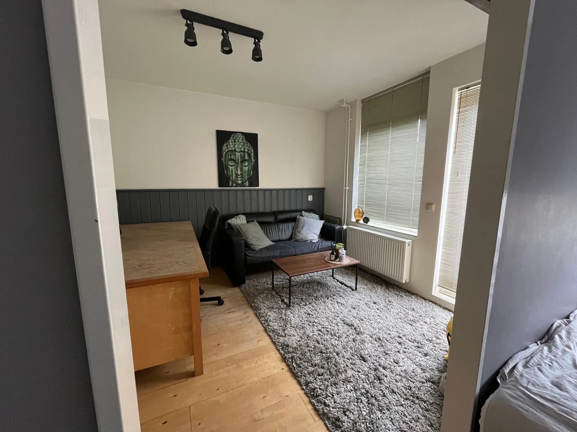 geblurde versie van de foto als achtergrond