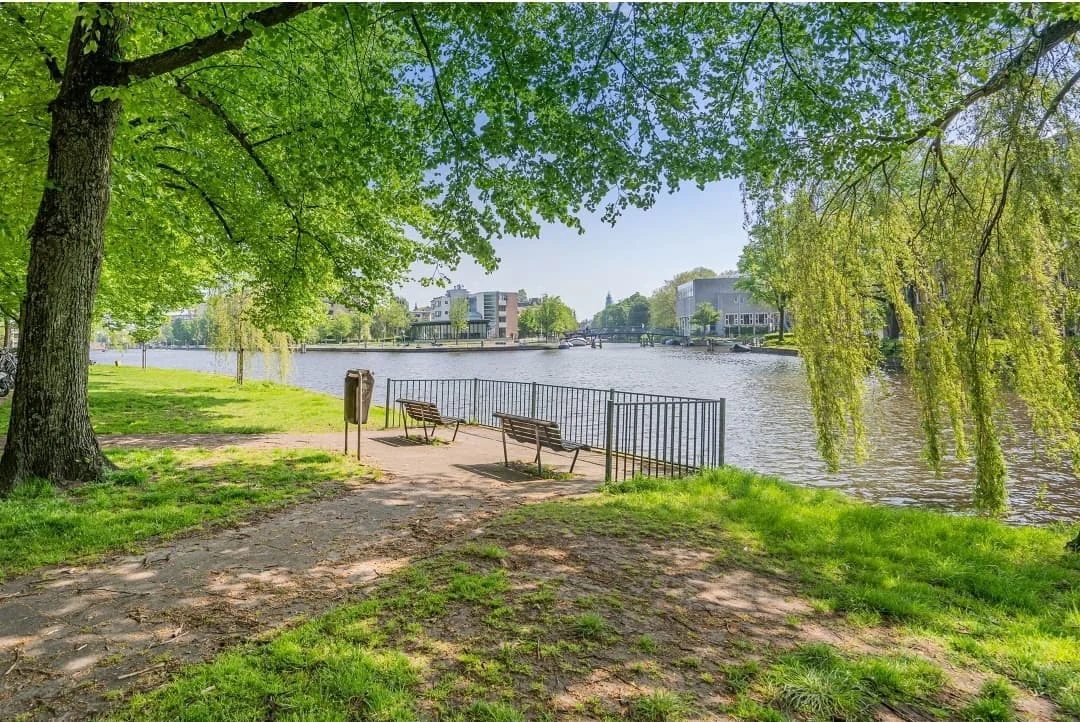 geblurde versie van de foto als achtergrond