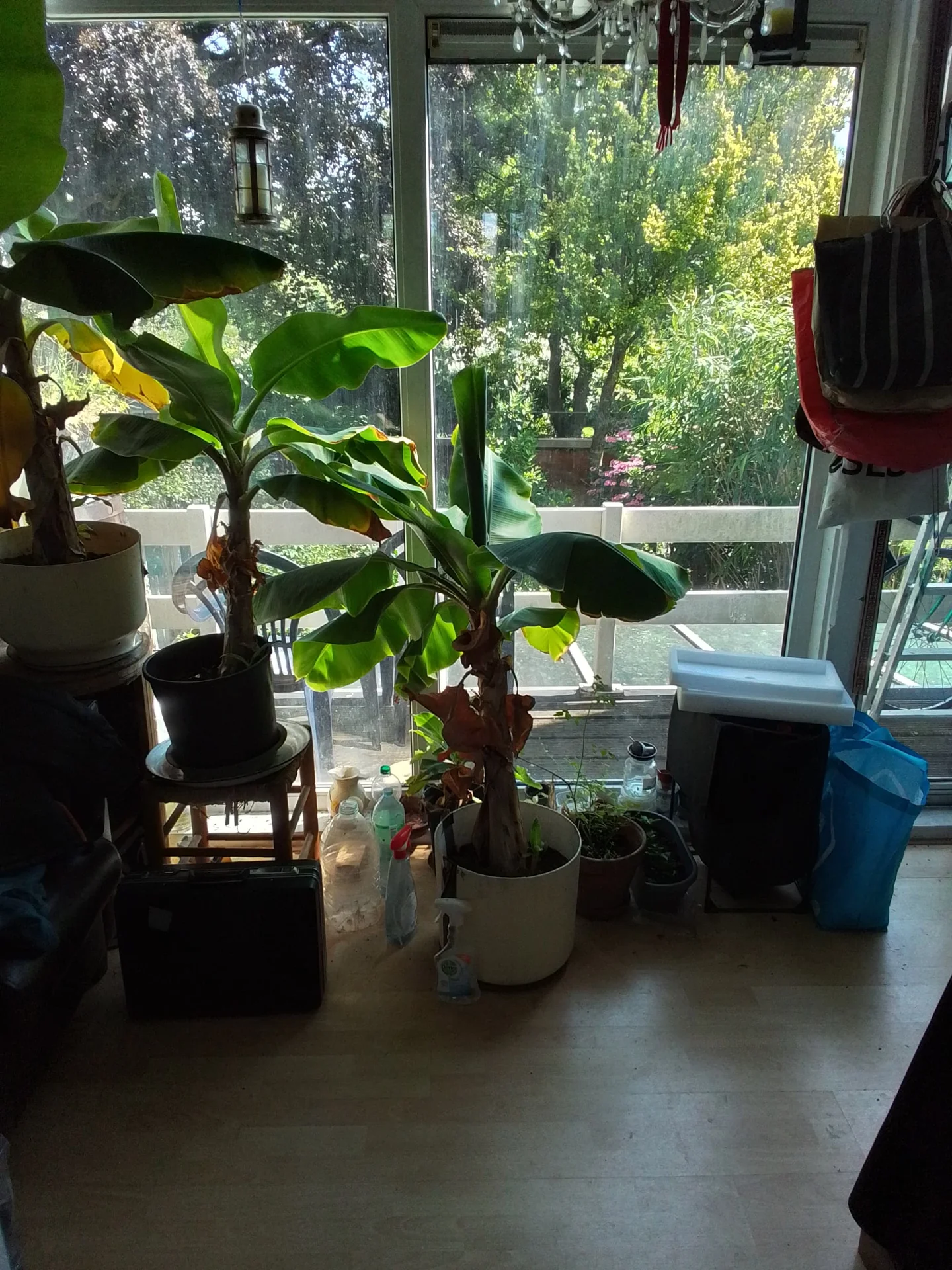 Foto van de Appartement gelegen aan de Weesperzijde in Amsterdam