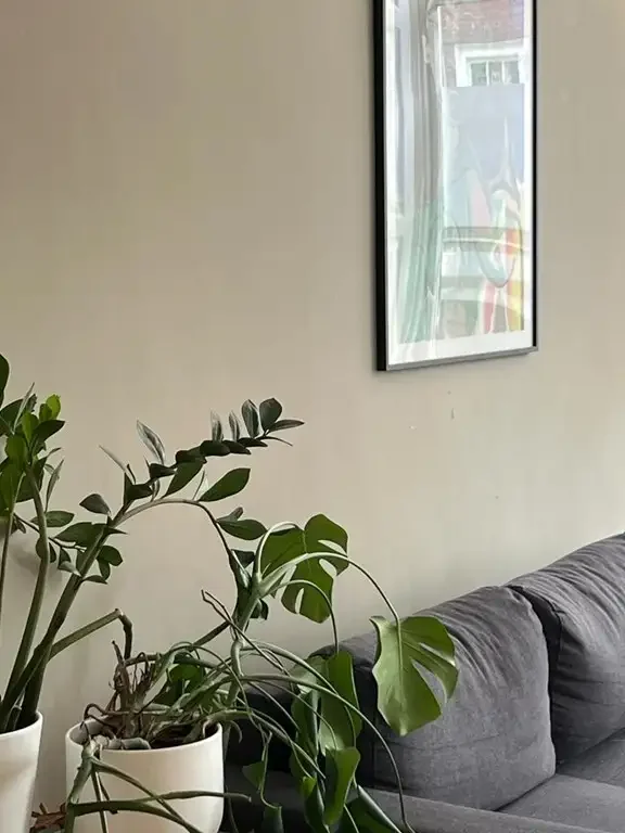 Foto van de Appartement gelegen aan de Zoutmanstraat in Den Haag