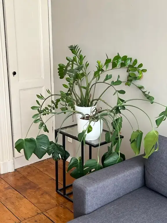 Foto van de Appartement gelegen aan de Zoutmanstraat in Den Haag