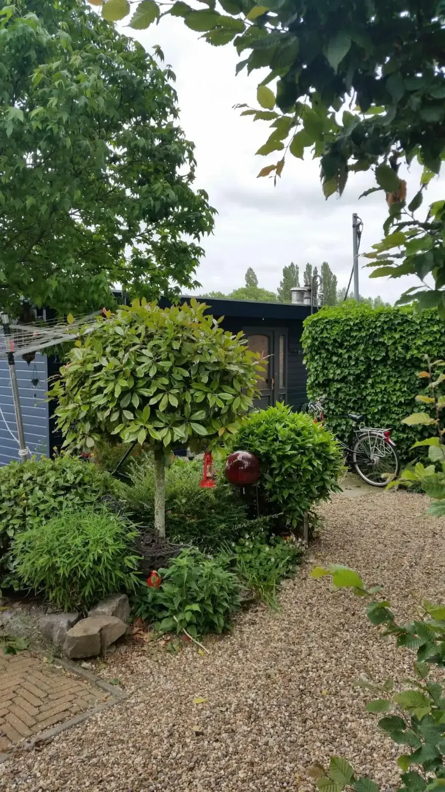 geblurde versie van de foto als achtergrond