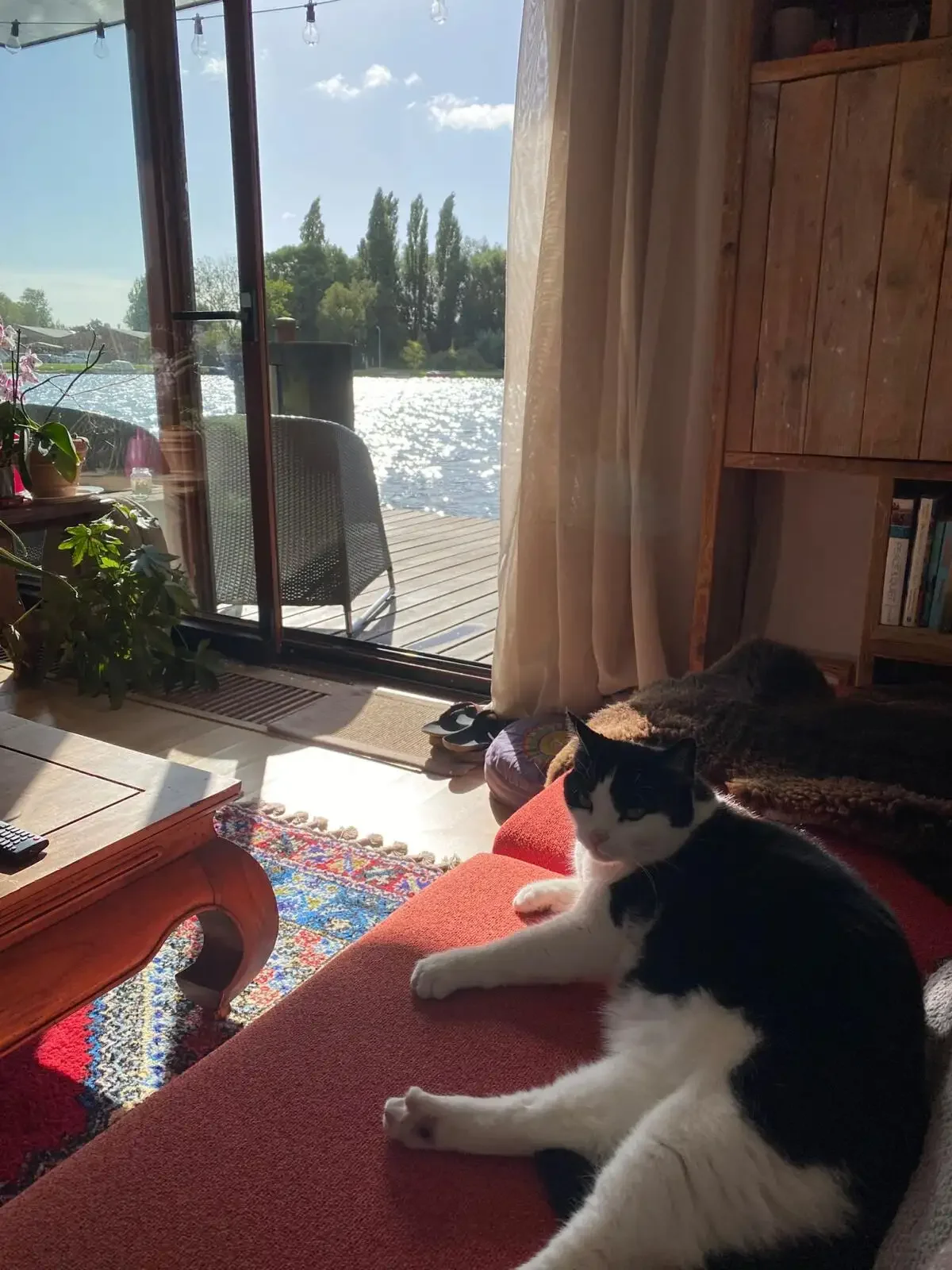 geblurde versie van de foto als achtergrond