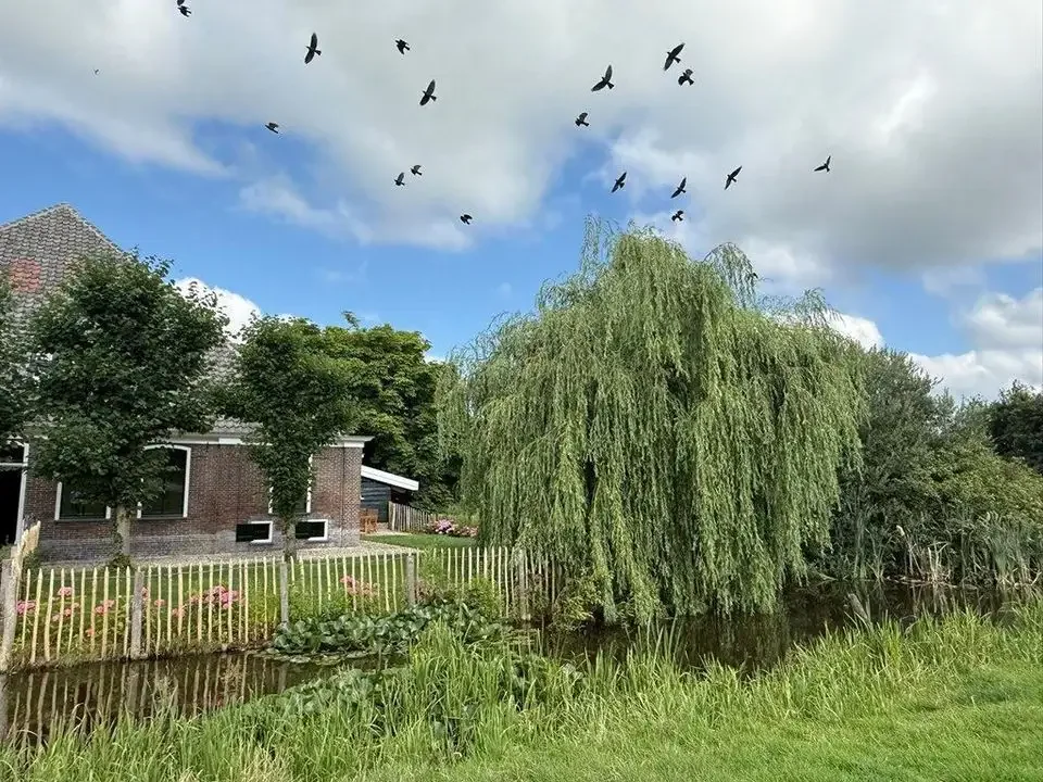 Foto van de Appartement gelegen aan de Ringdijk BP in Amstelveen