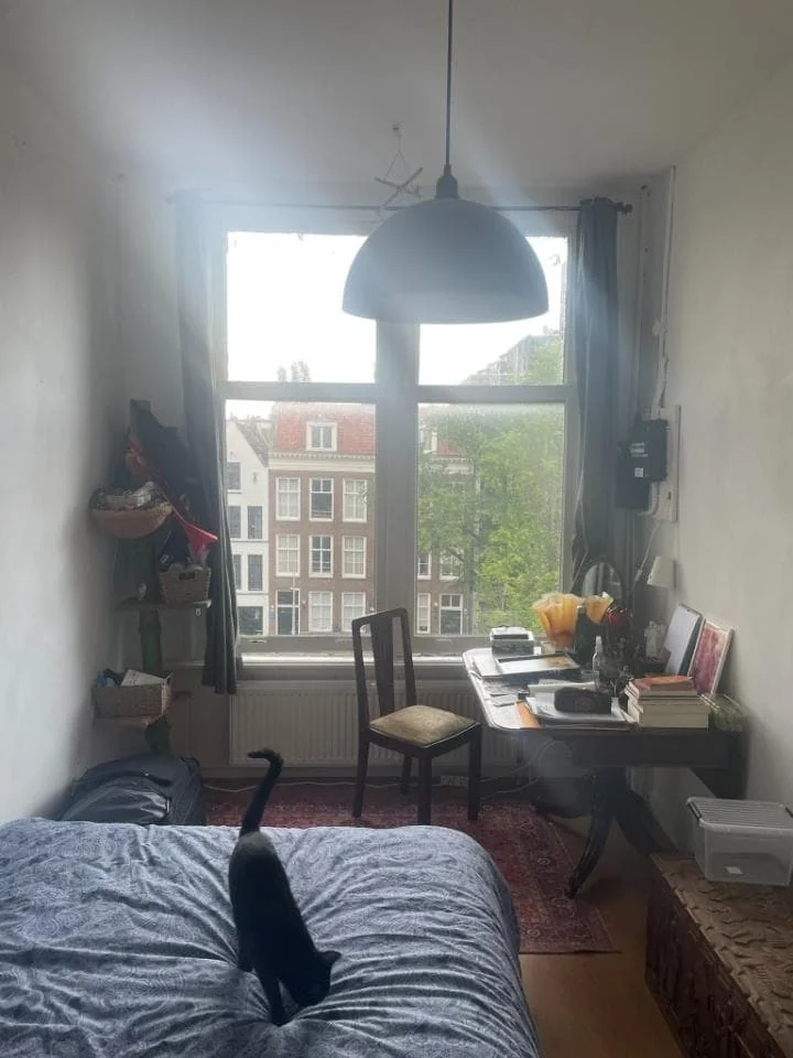 geblurde versie van de foto als achtergrond