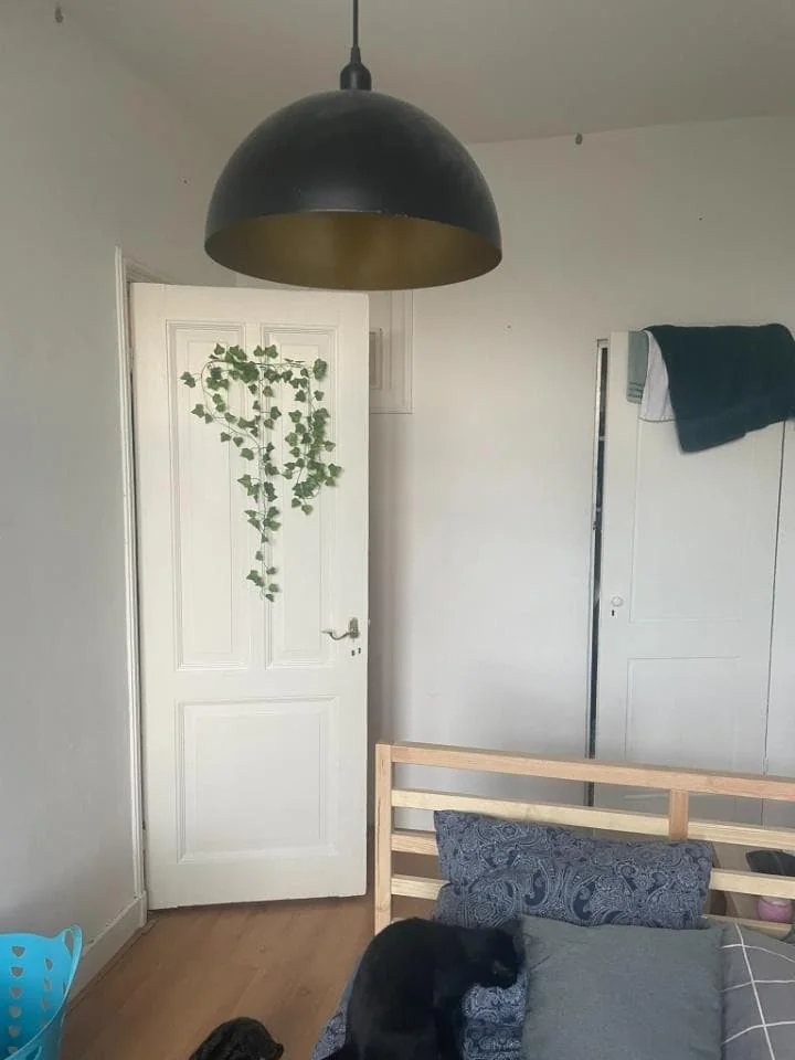 geblurde versie van de foto als achtergrond