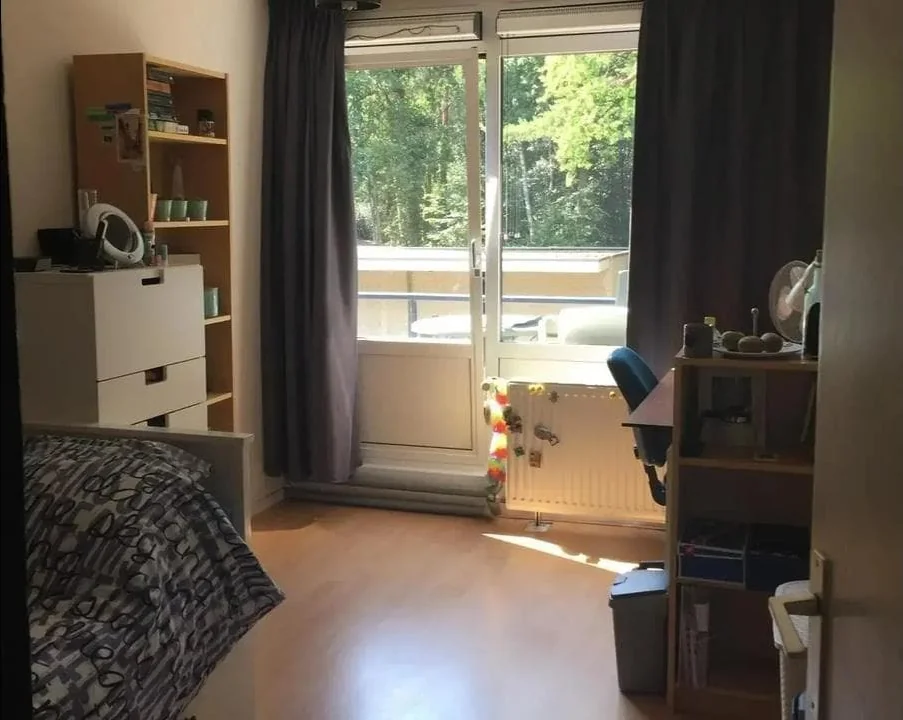geblurde versie van de foto als achtergrond