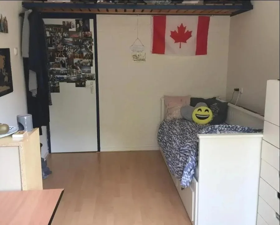 geblurde versie van de foto als achtergrond
