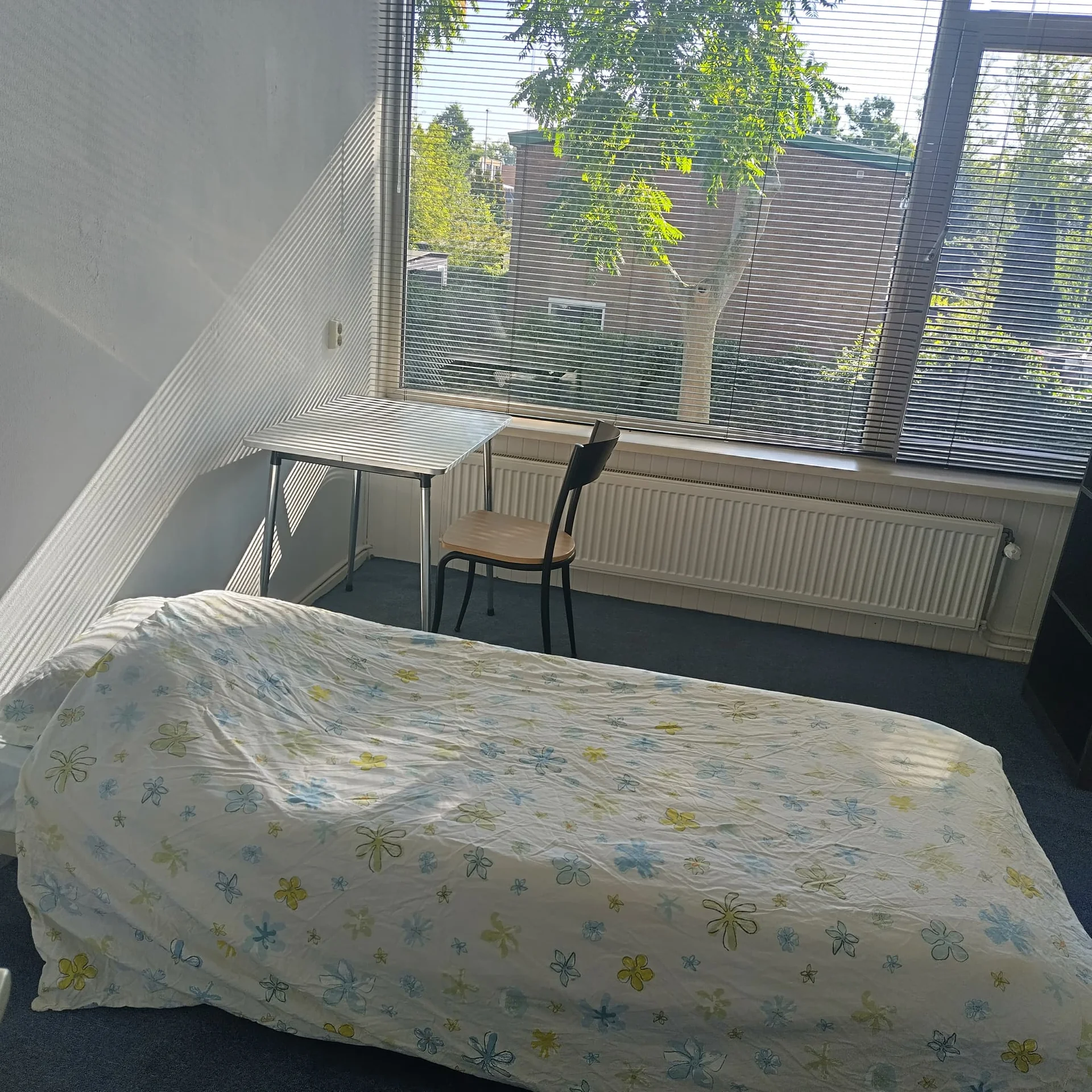 geblurde versie van de foto als achtergrond
