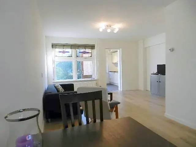 geblurde versie van de foto als achtergrond
