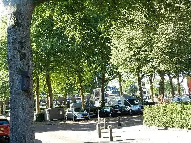 Foto van de Appartement gelegen aan de Drieherenlaan in Heemstede