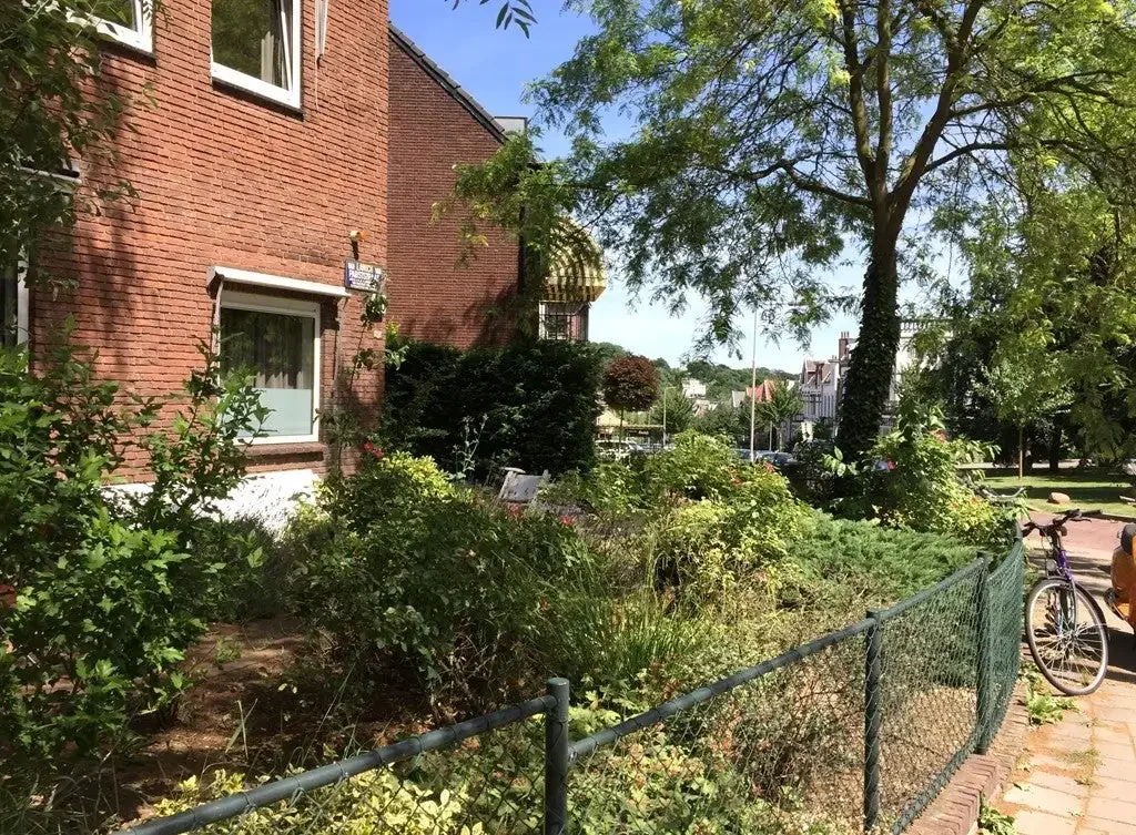 geblurde versie van de foto als achtergrond