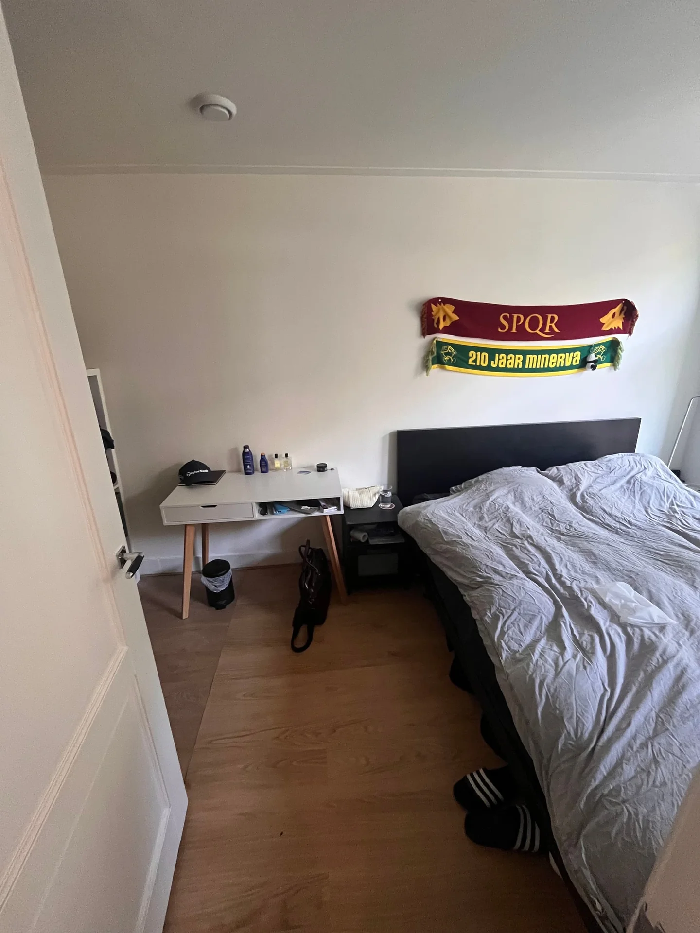 geblurde versie van de foto als achtergrond