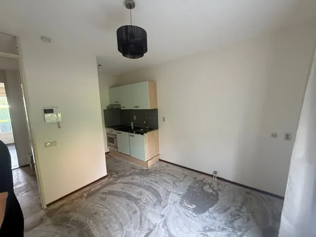 geblurde versie van de foto als achtergrond