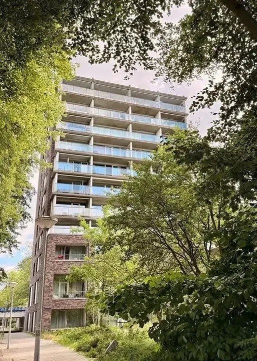 geblurde versie van de foto als achtergrond