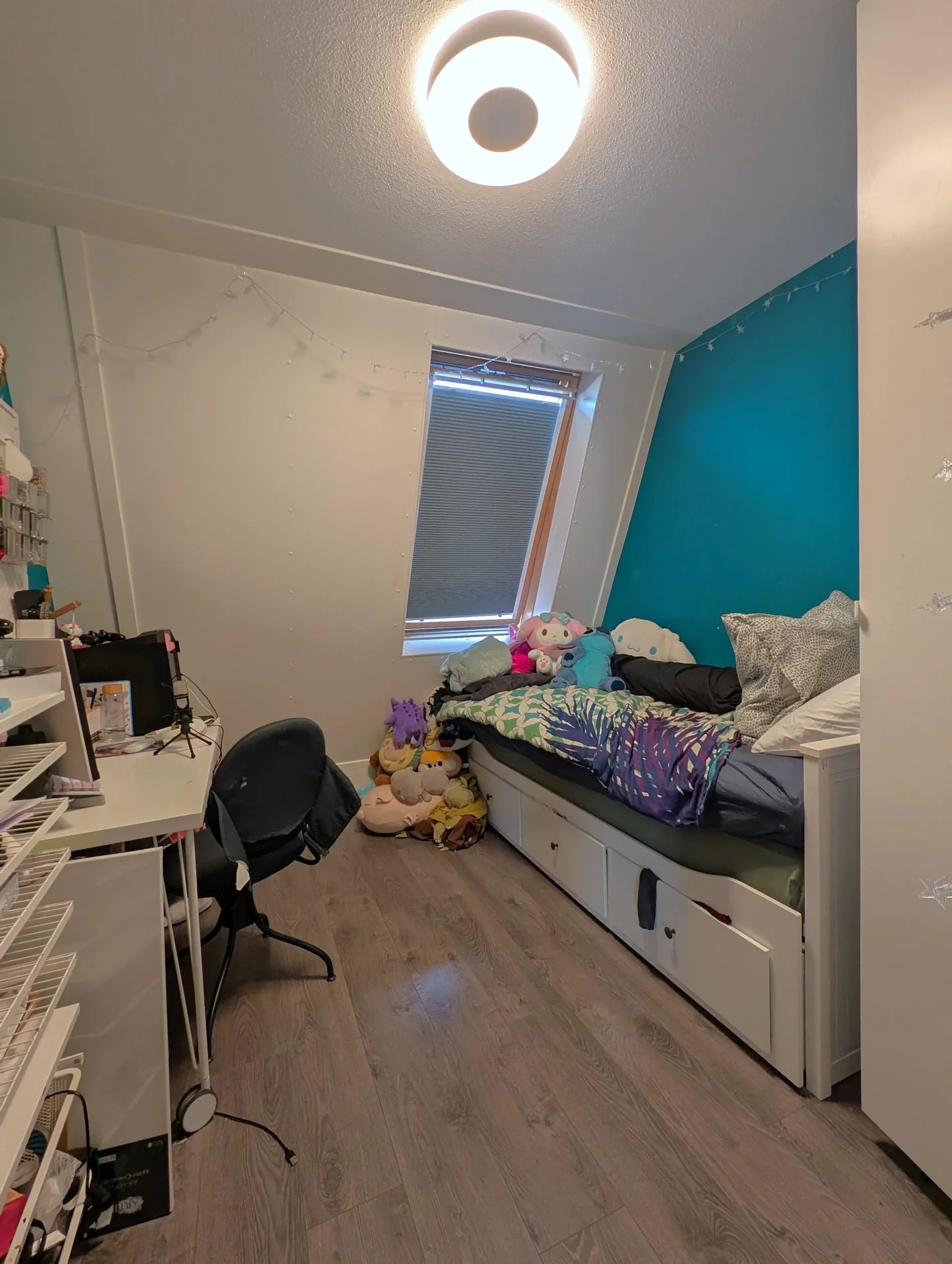 geblurde versie van de foto als achtergrond