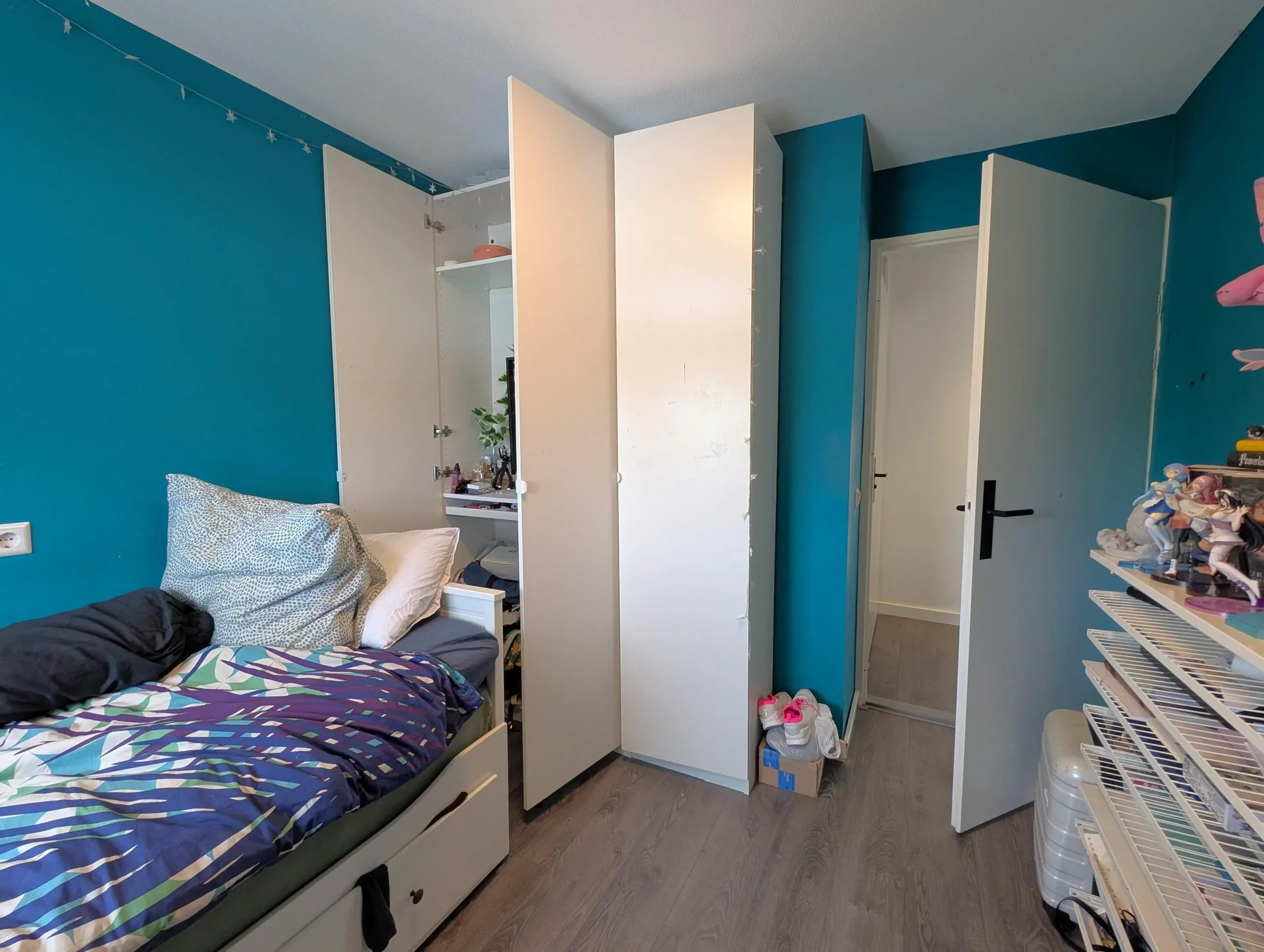 geblurde versie van de foto als achtergrond