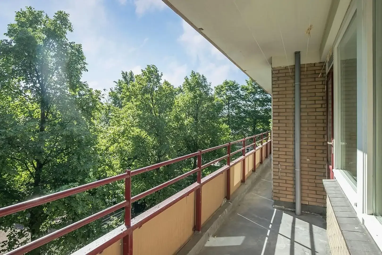 geblurde versie van de foto als achtergrond