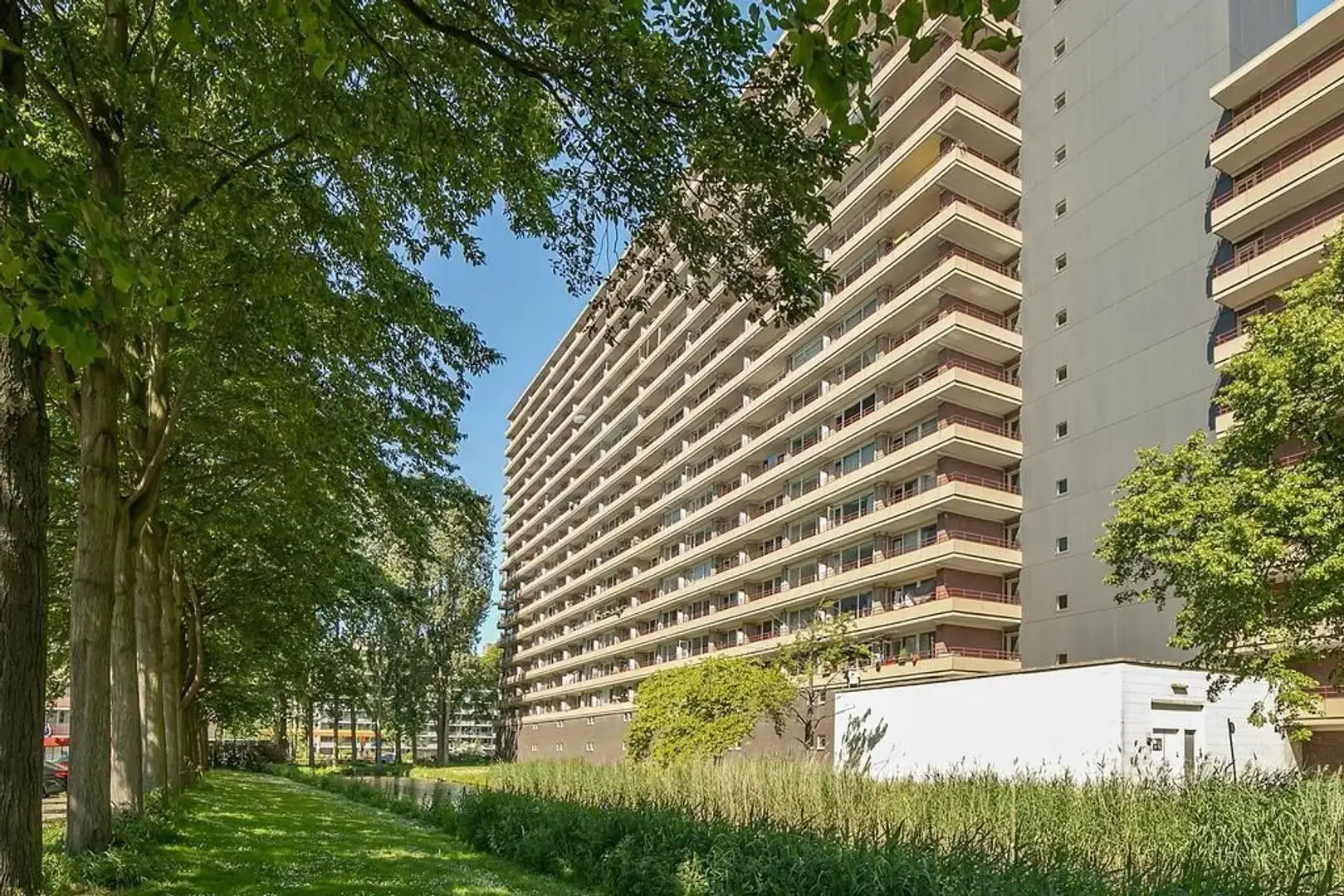geblurde versie van de foto als achtergrond