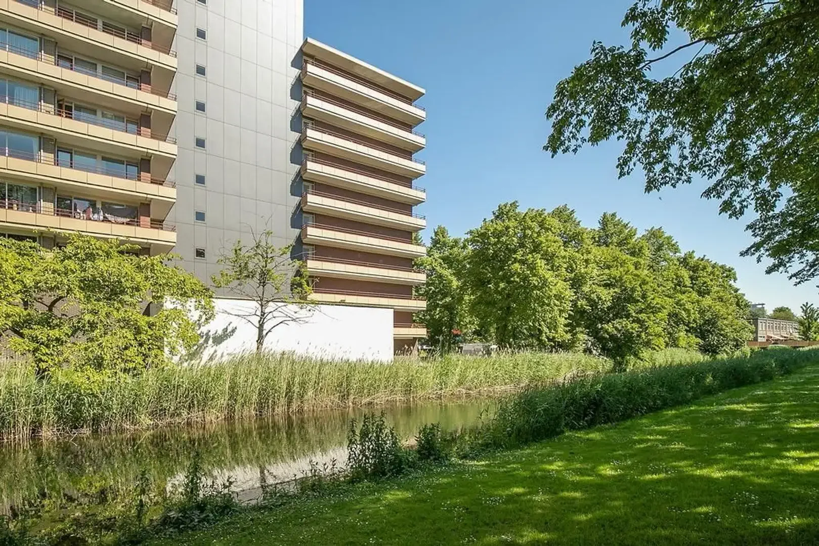 geblurde versie van de foto als achtergrond