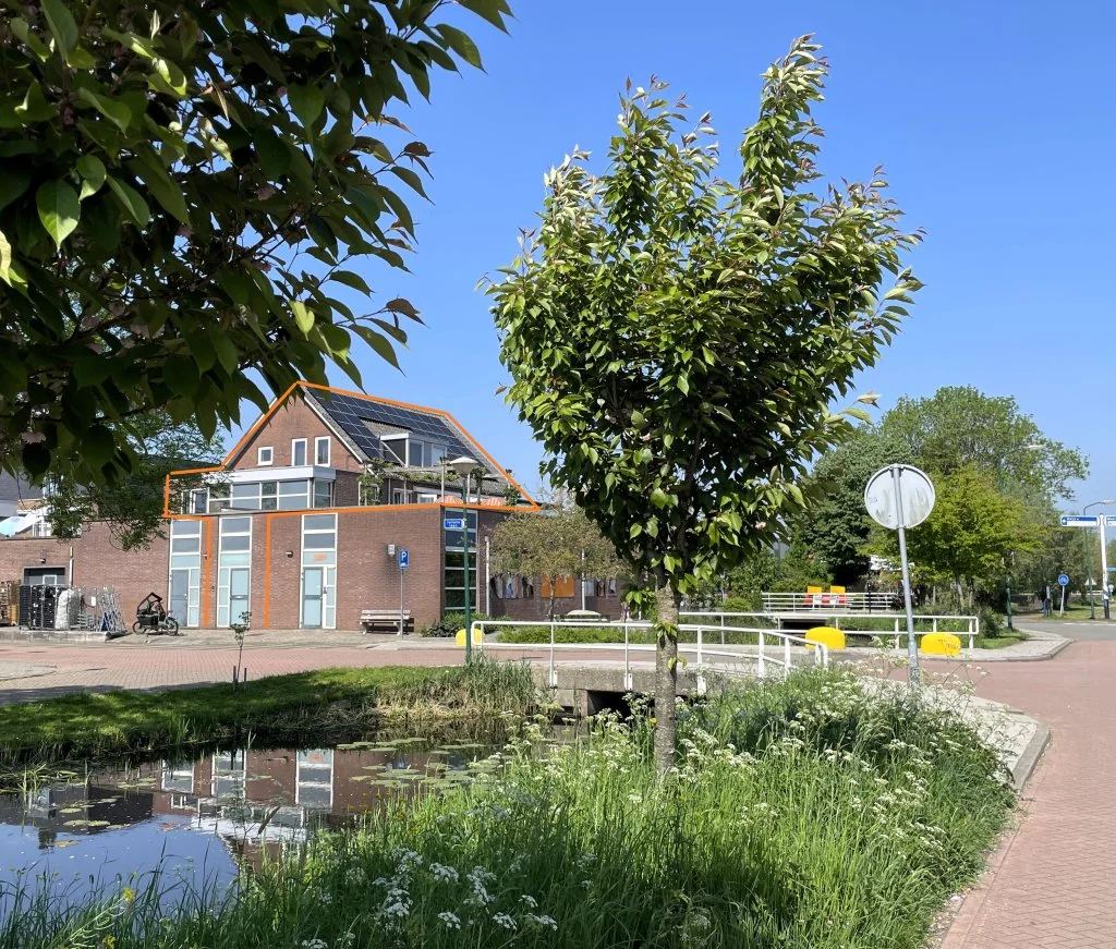 geblurde versie van de foto als achtergrond