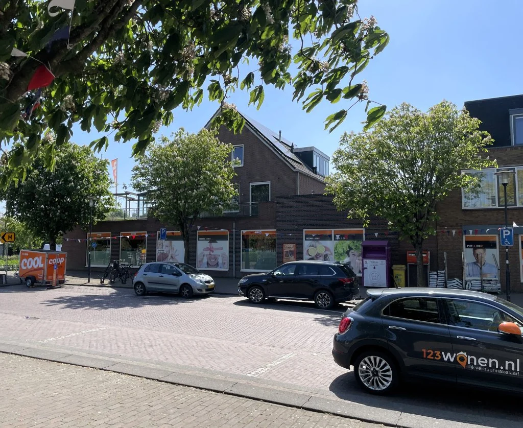 geblurde versie van de foto als achtergrond