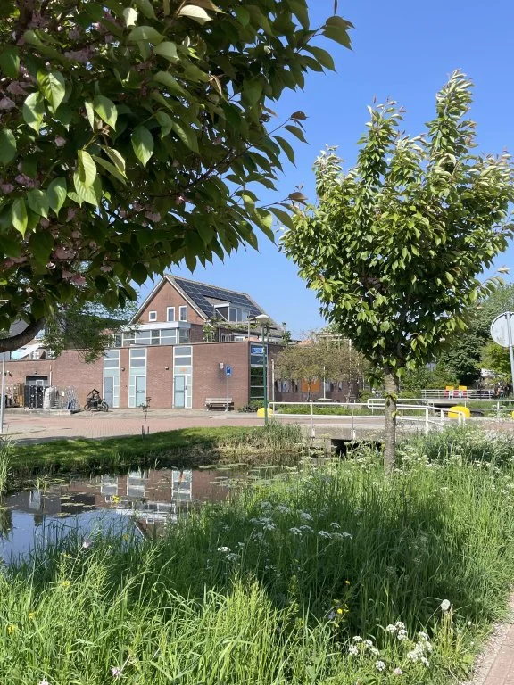 geblurde versie van de foto als achtergrond