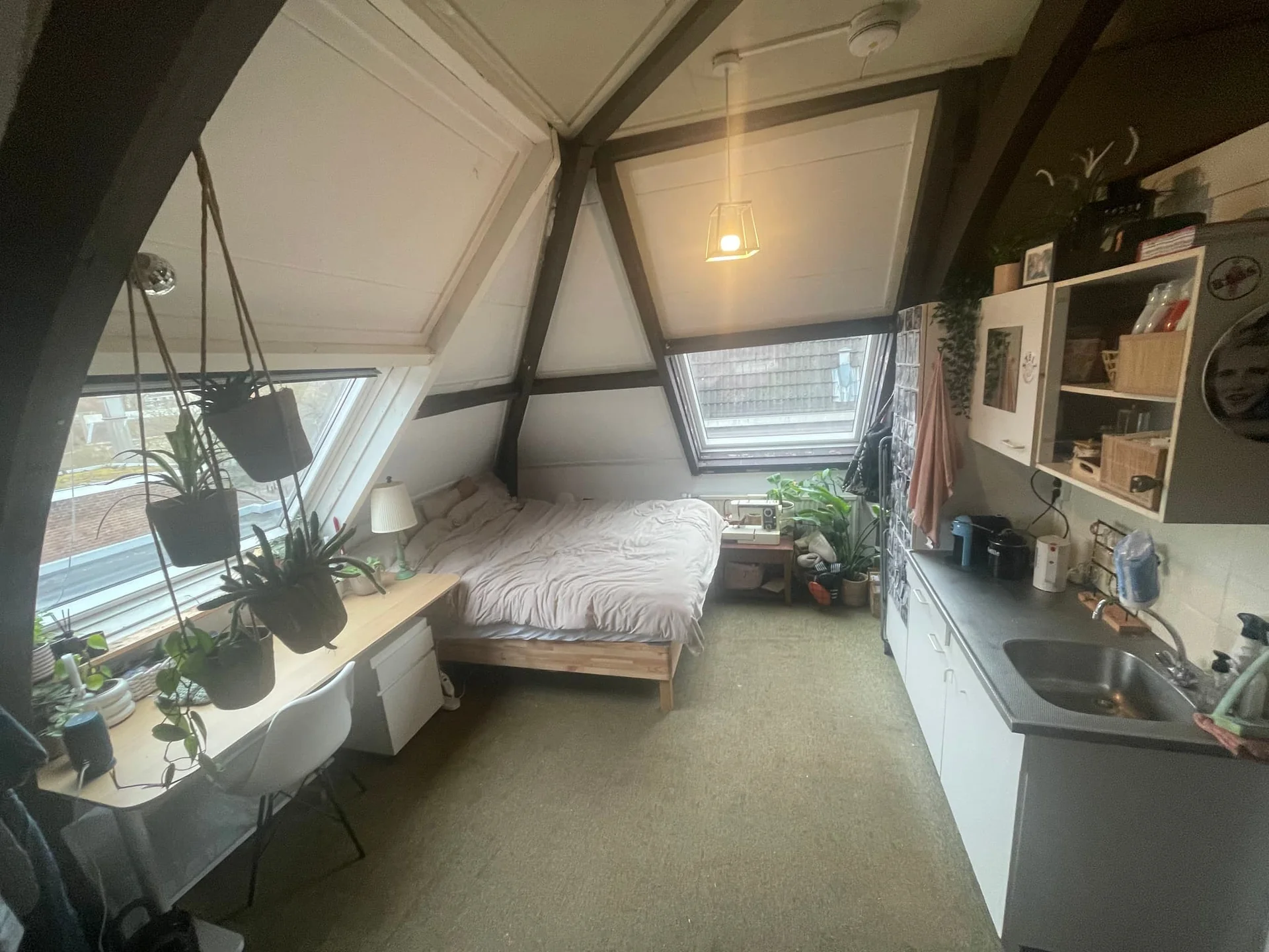 geblurde versie van de foto als achtergrond