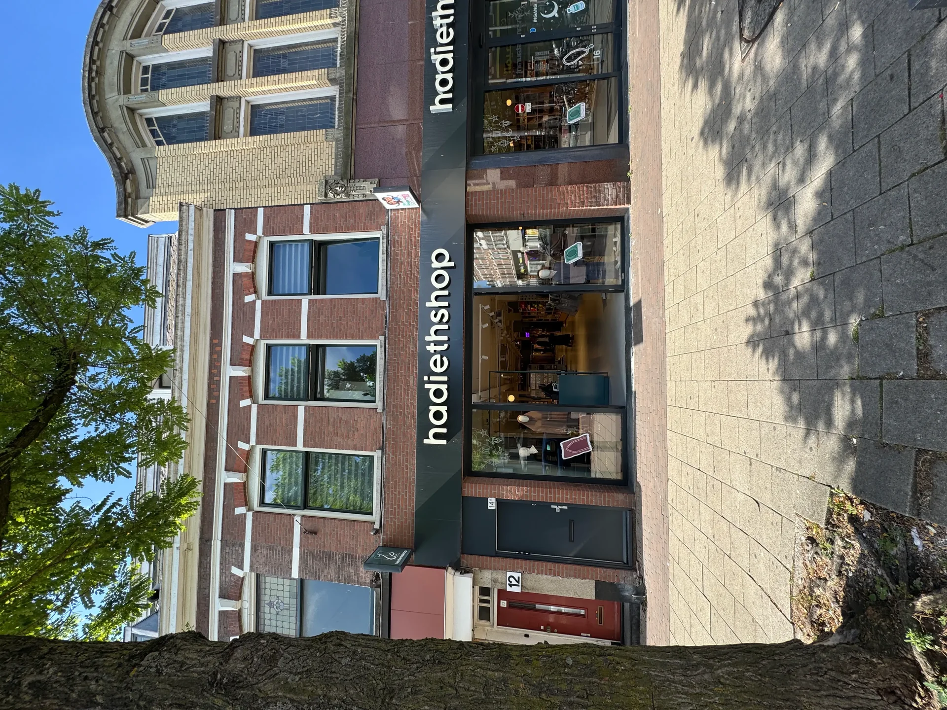 geblurde versie van de foto als achtergrond