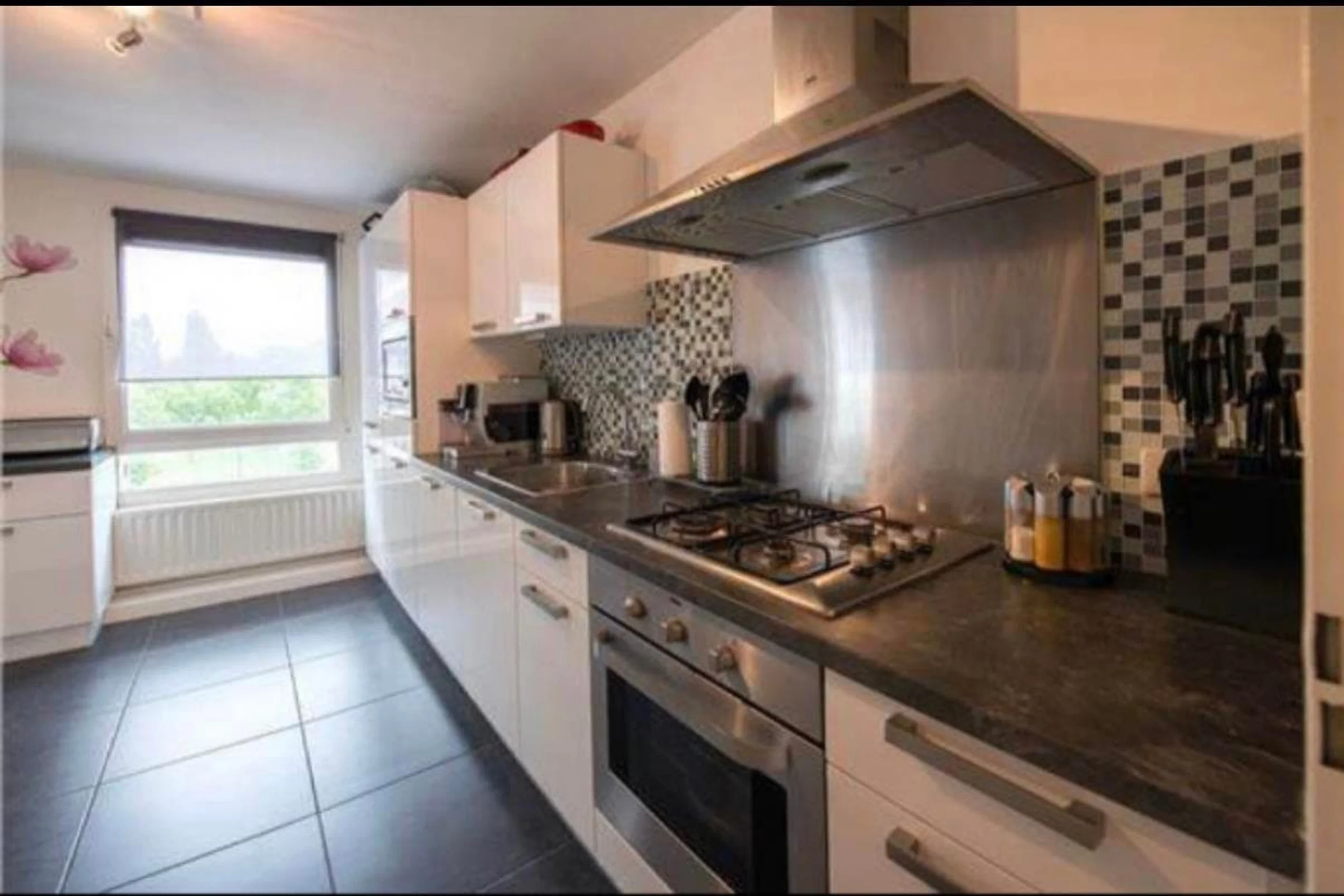 Foto van de Appartement gelegen aan de Ekingenstraat in Amsterdam