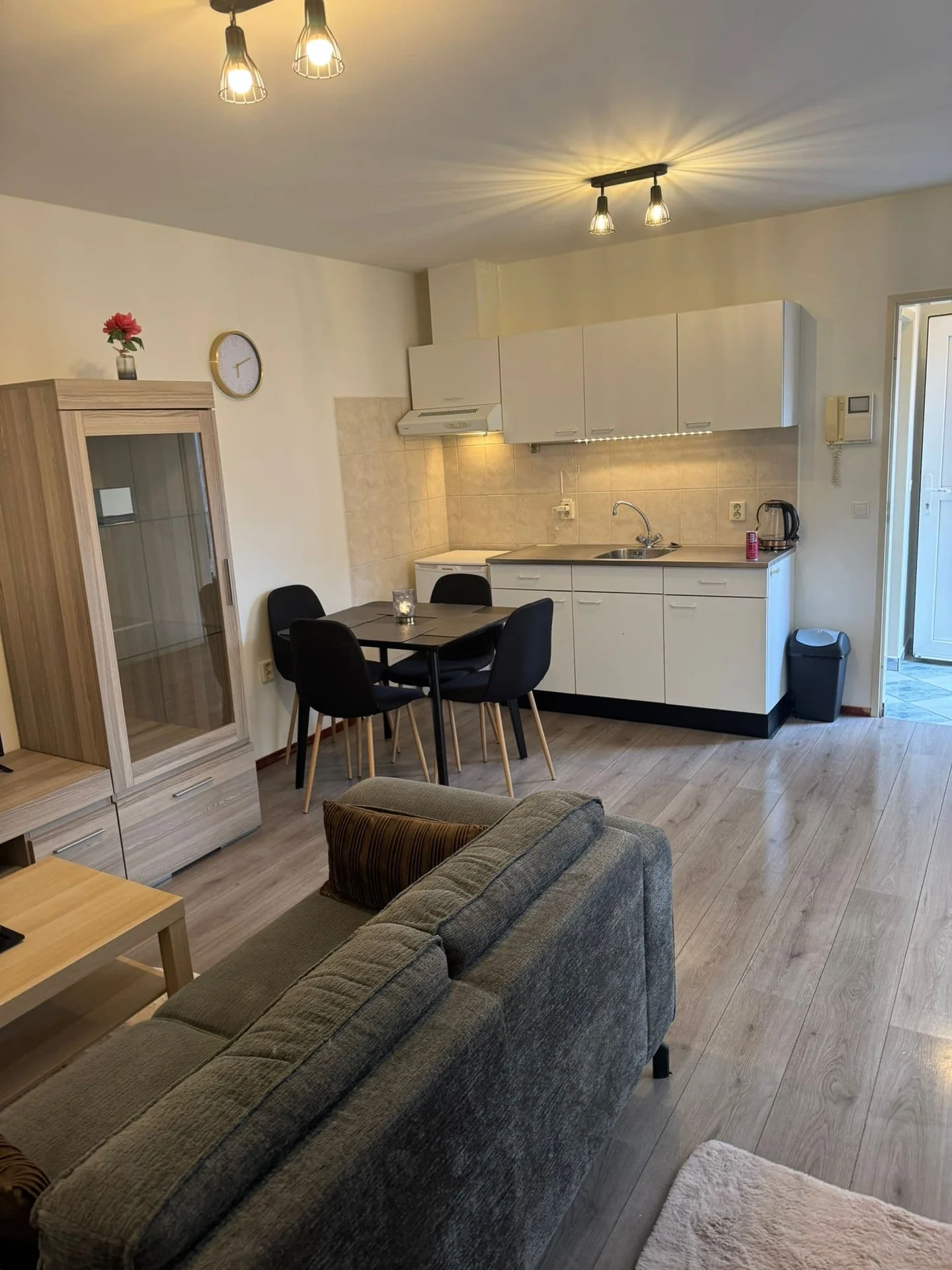 Foto van de Appartement gelegen aan de St Trudostraat in Eindhoven