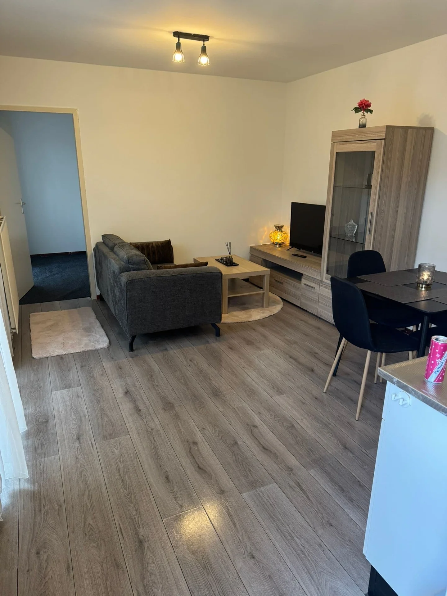 Foto van de Appartement gelegen aan de St Trudostraat in Eindhoven