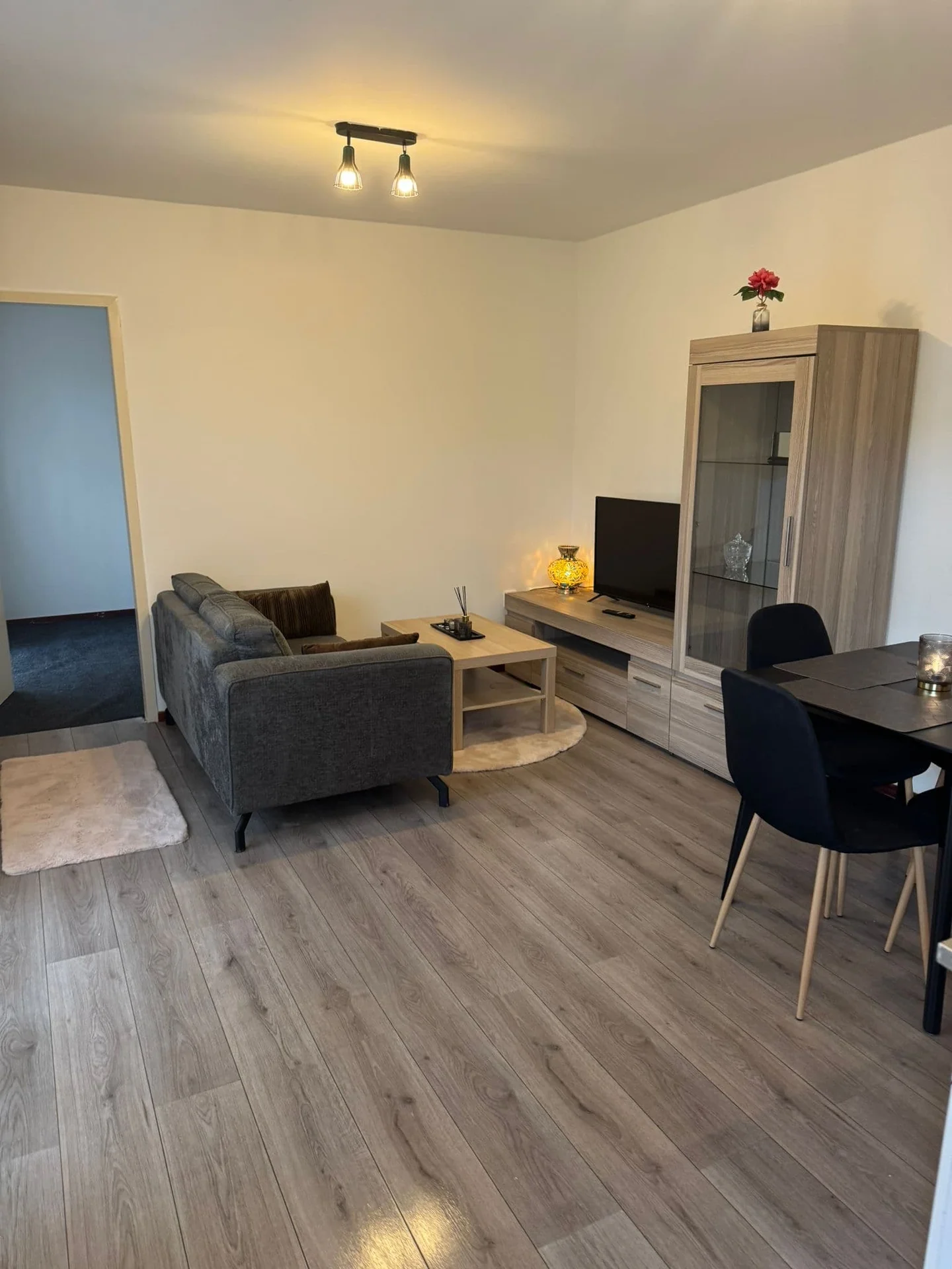 Foto van de Appartement gelegen aan de St Trudostraat in Eindhoven