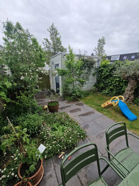 geblurde versie van de foto als achtergrond