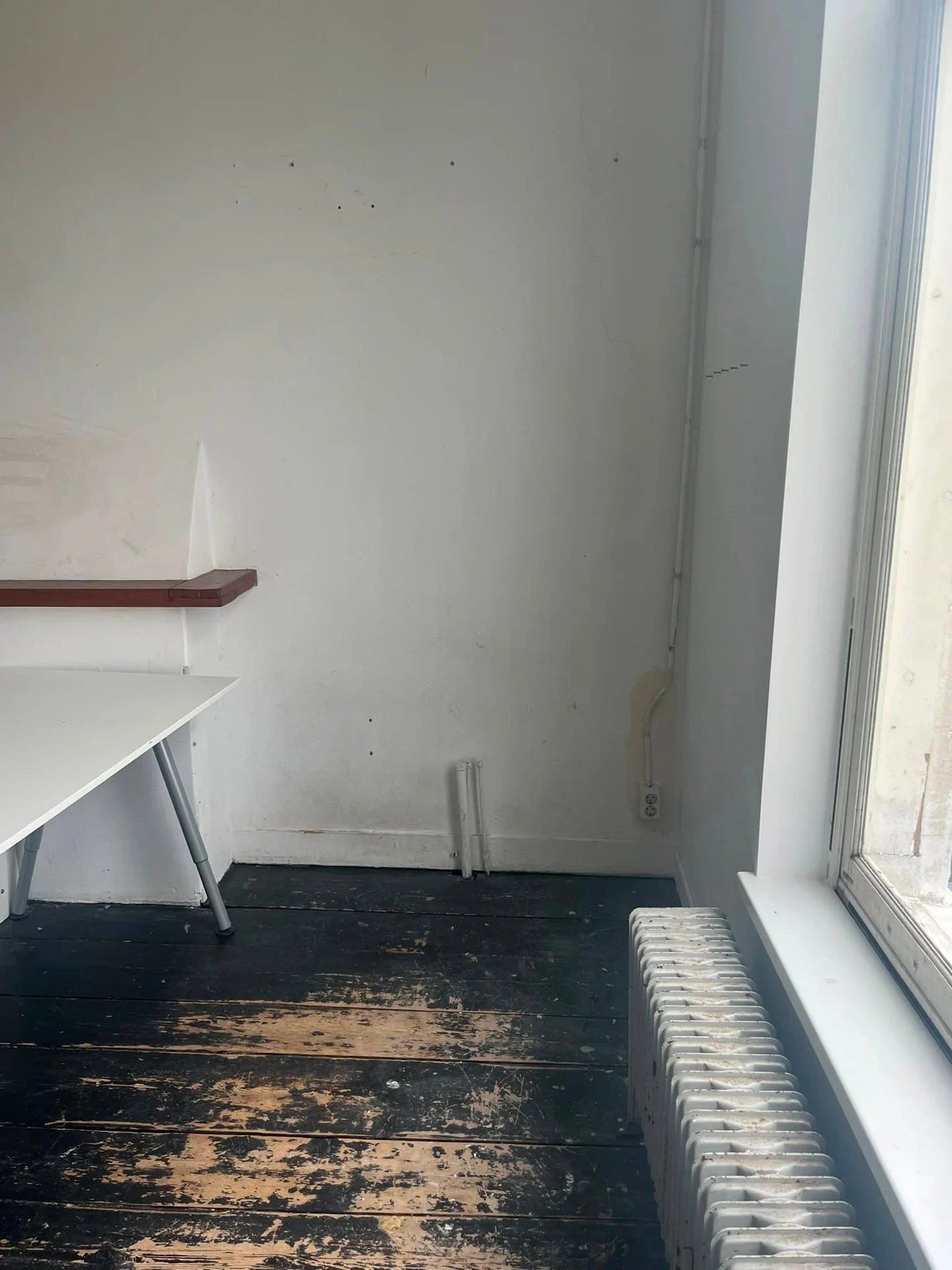 Foto van de Kamer gelegen aan de Oranje Plantage in Delft